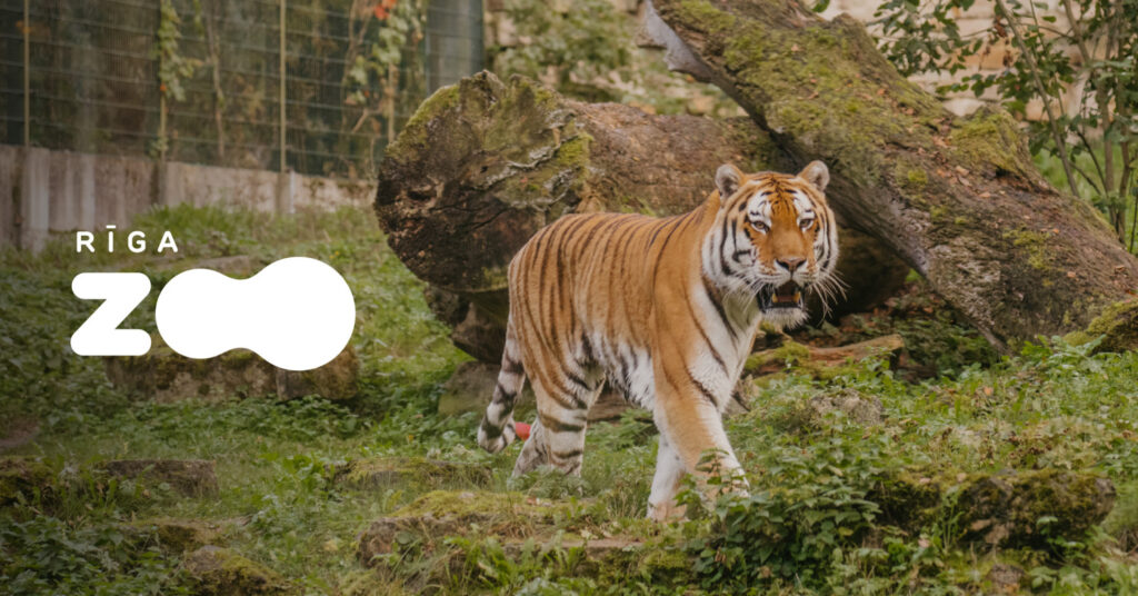 Rīga ZOO apmeklējums Ziemas sezona (12.10.2026 līdz 30.04.2027.)