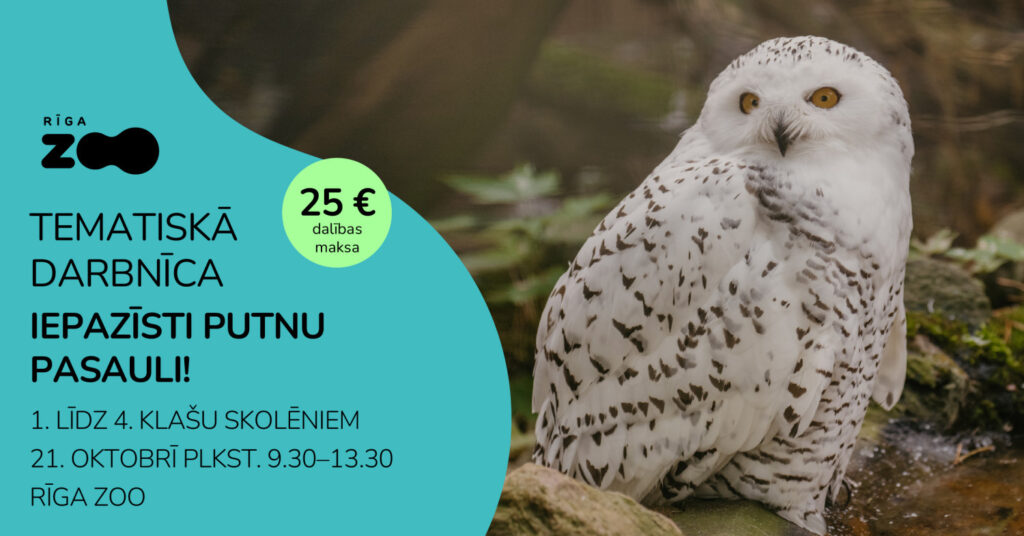 Tematiskā diena Rīga ZOO – ‘Iepazīsti putnu pasauli!’