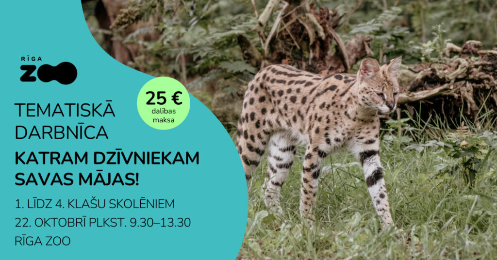 Tematiskā diena Rīga ZOO – ‘Katram dzīvniekam savas mājas!’