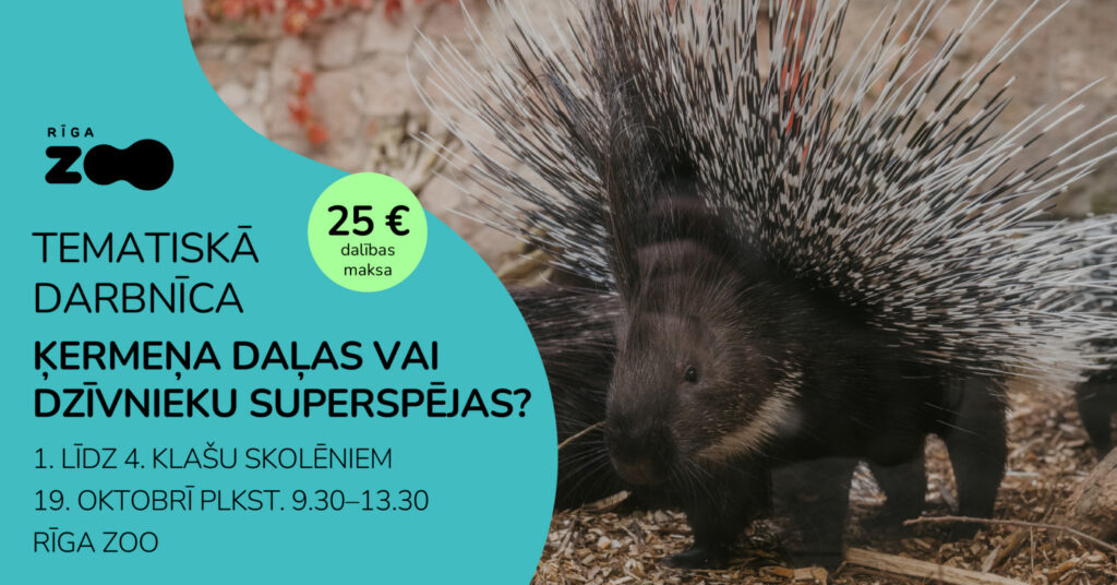 Tematiskā diena Rīga ZOO – ‘Ķermeņa daļas vai dzīvnieku superspējas?’